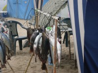 /album/momentos-de-premiaciones/mi-familia-021-jpg/